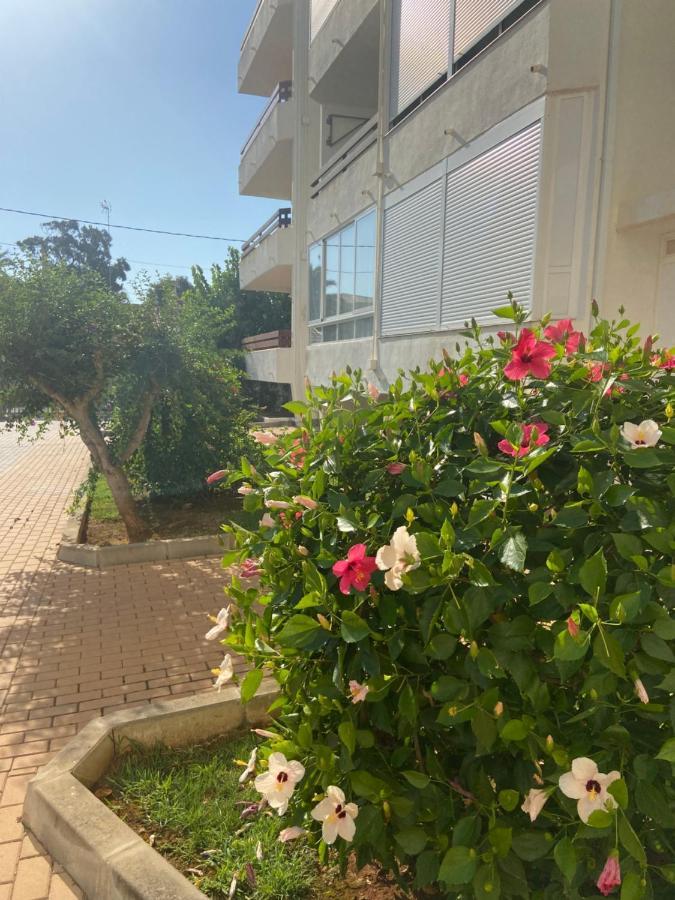 Vistas Al Mar Playa De Los Bovetes Дения Екстериор снимка