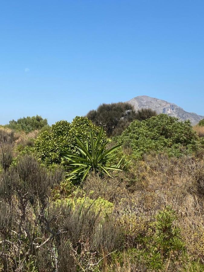 Vistas Al Mar Playa De Los Bovetes Дения Екстериор снимка